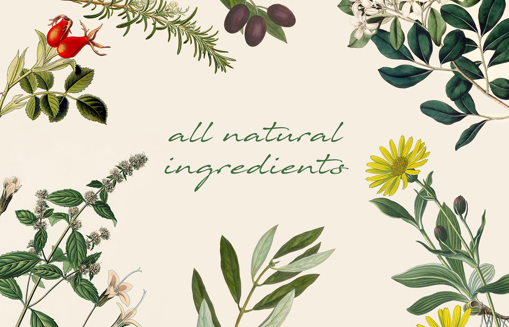 All natural ingredients banner with illustrations of flowers